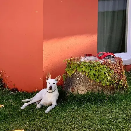 Σπίτι διακοπών Casa Ruiva No Oeste